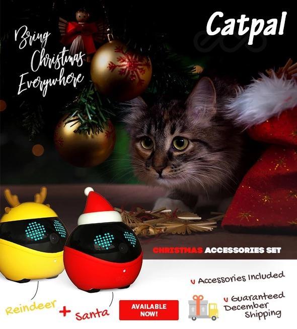 Christmas Gift For Pets! The Smartest Robot For Your Cats!