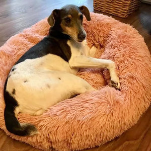 Amazingly Comfortable Dog Bed