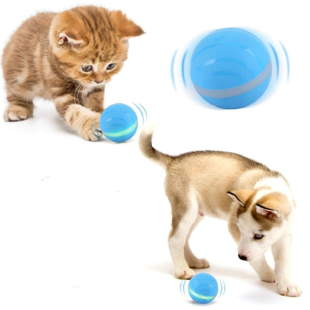 Intelligent animal ball