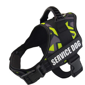 Higgly's No Pull Dog Harness (personalized)