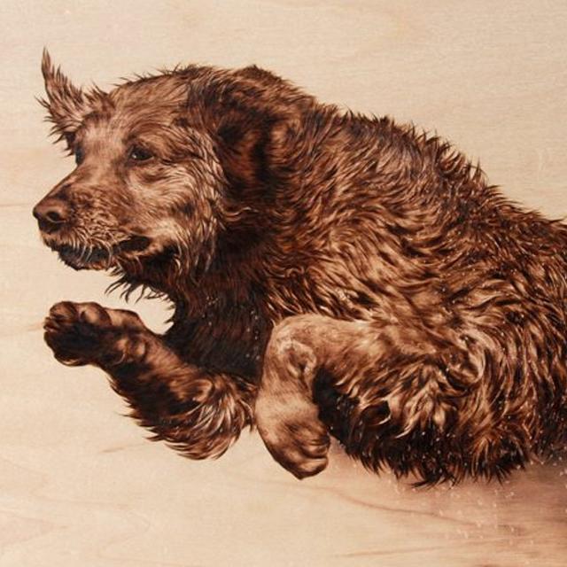 【50%OFF...Limited Quantity】Wood Burning Pyrography Kit