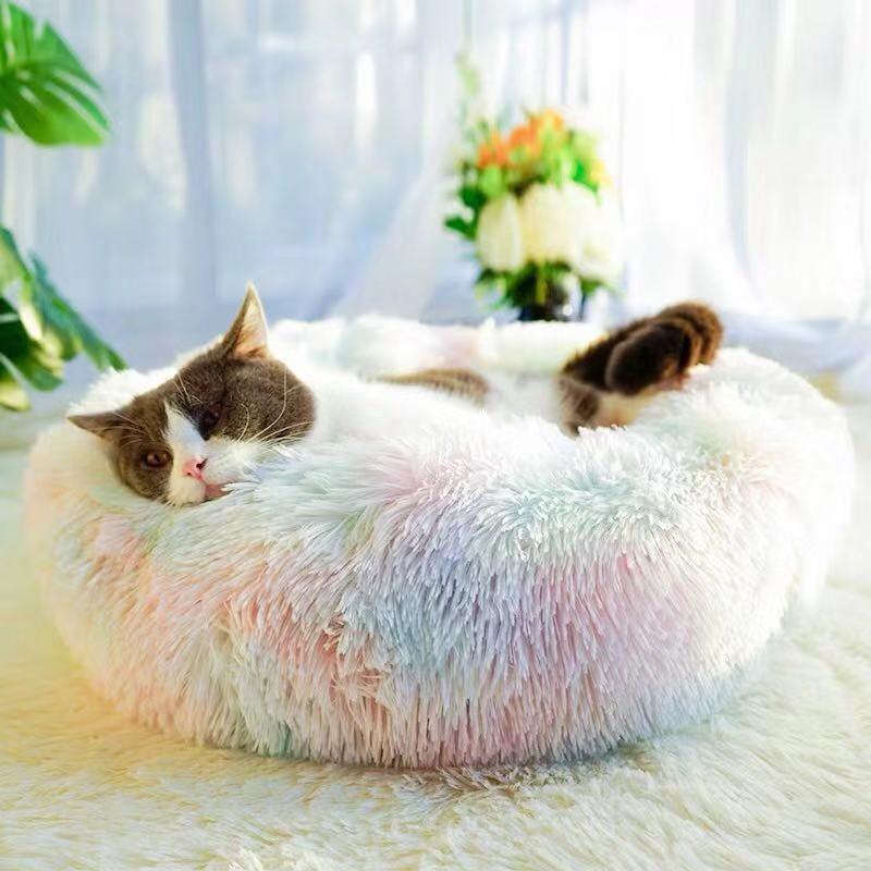 Amazingly Comfortable Dog Bed