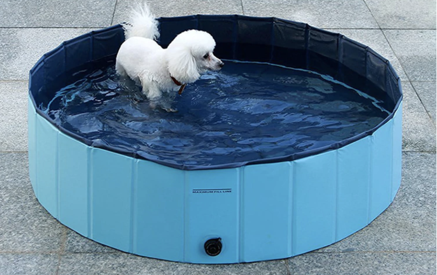 Foldable Dog Swimming Pool