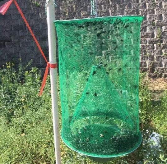 Sunshine Reusable Fly Trap