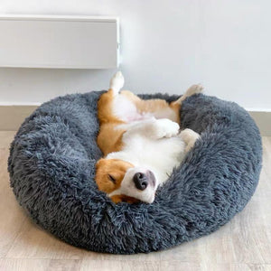 Amazingly Comfortable Dog Bed