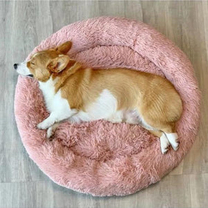 Amazingly Comfortable Dog Bed