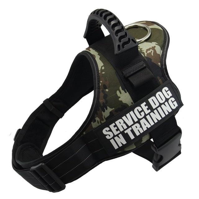 Higgly's No Pull Dog Harness (personalized)